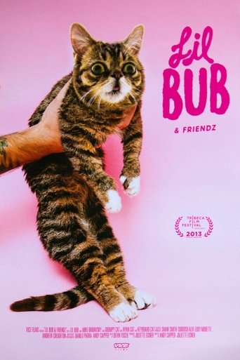 Lil Bub & Friendz Poster of Lil Bub & Friendz