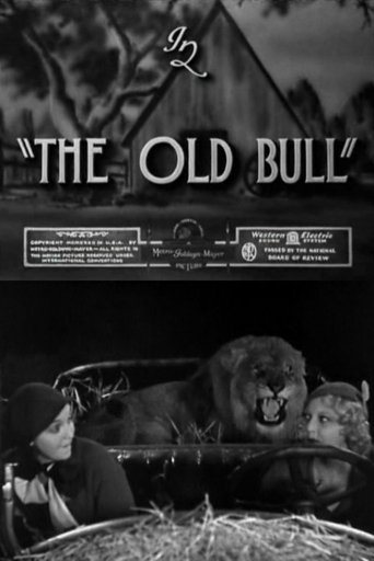 The Old Bull Poster of The Old Bull