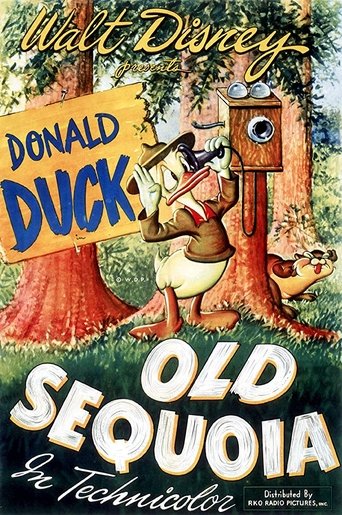 Old Sequoia Poster of Old Sequoia