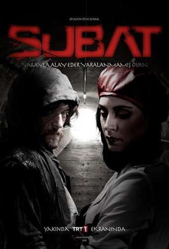 Şubat Poster of Şubat