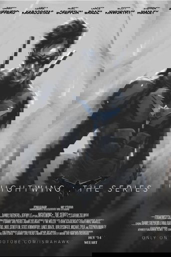 Nightwing: The Series Poster of Nightwing: The Series