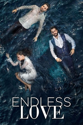 Endless Love Poster of Endless Love