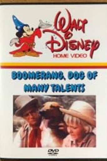 Boomerang, Dog of Many Talents Poster of Boomerang, Dog of Many Talents