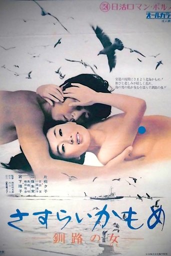 Wandering Seagull: Night in Kushiro Poster of Wandering Seagull: Night in Kushiro