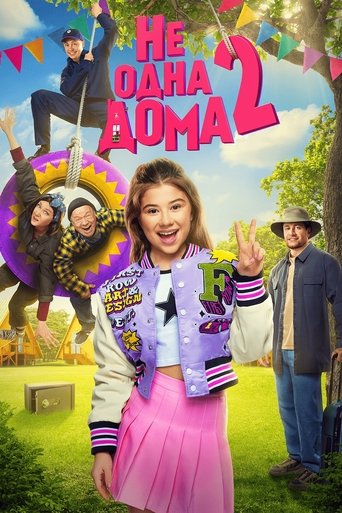 Not Home Alone 2 Poster of Not Home Alone 2