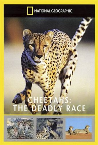 Cheetahs: The Deadly Race Poster of Cheetahs: The Deadly Race