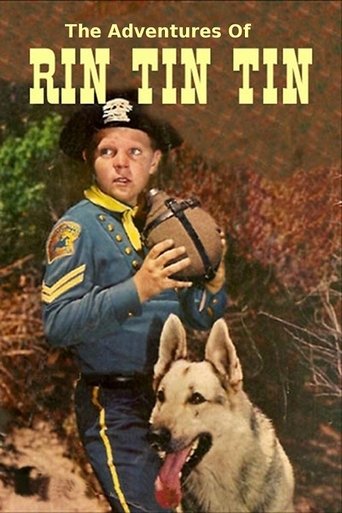 The Adventures of Rin Tin Tin Poster of The Adventures of Rin Tin Tin