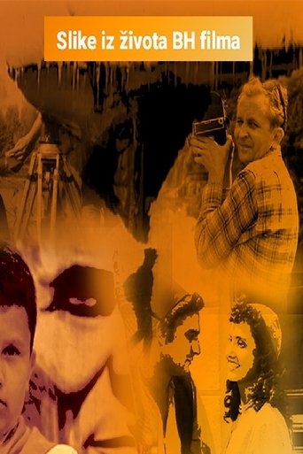 Scenes from the Life of BH Film Poster of Scenes from the Life of BH Film