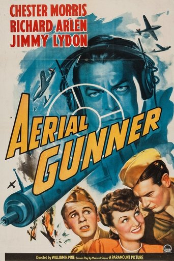 Aerial Gunner Poster of Aerial Gunner