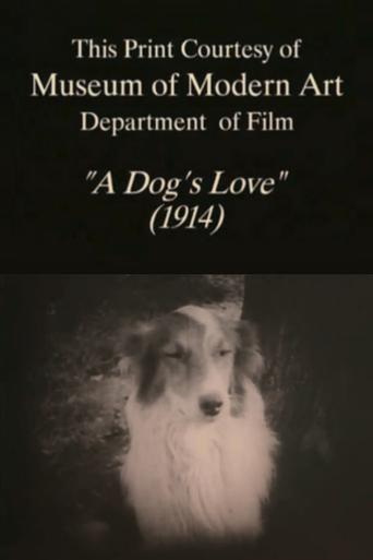 A Dog's Love Poster of A Dog's Love