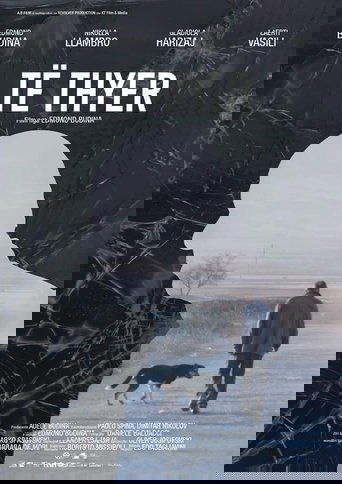 Broken Poster of Broken