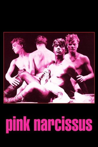 Pink Narcissus Poster of Pink Narcissus