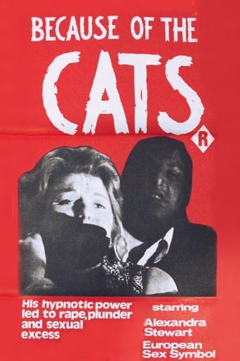 Because of the Cats Poster of Because of the Cats