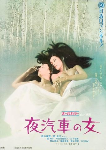 Woman on the Night Train Poster of Woman on the Night Train