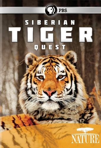 Siberian Tiger Quest Poster of Siberian Tiger Quest