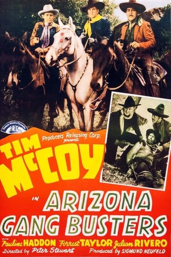 Arizona Gang Busters Poster of Arizona Gang Busters