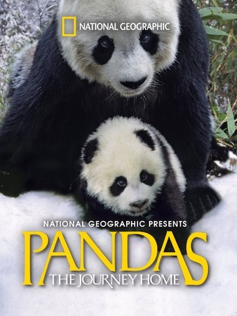 Pandas: The Journey Home Poster of Pandas: The Journey Home