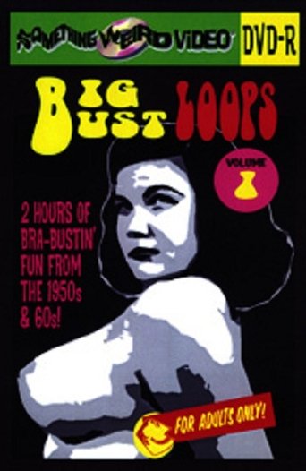 Big Bust Loops Volume 1 Poster of Big Bust Loops Volume 1
