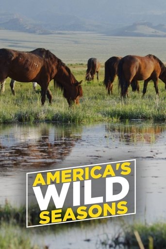 America's Wild Seasons Poster of America's Wild Seasons