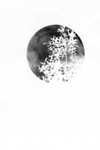 Negative Capability Poster of Negative Capability