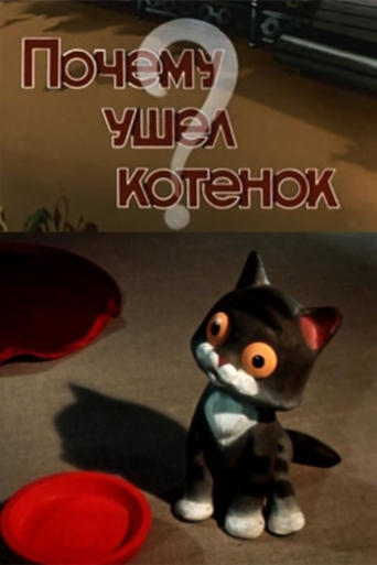 Why Did the Kitten Go Away? Poster of Why Did the Kitten Go Away?