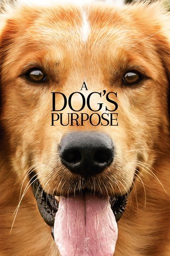A Dog's Purpose Poster of A Dog's Purpose