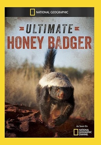 Ultimate Honey Badger Poster of Ultimate Honey Badger