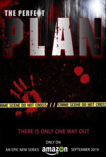 The Perfect Plan Poster of The Perfect Plan