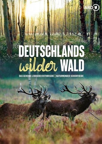 Das geheime Leben der Rothirsche Poster of Das geheime Leben der Rothirsche