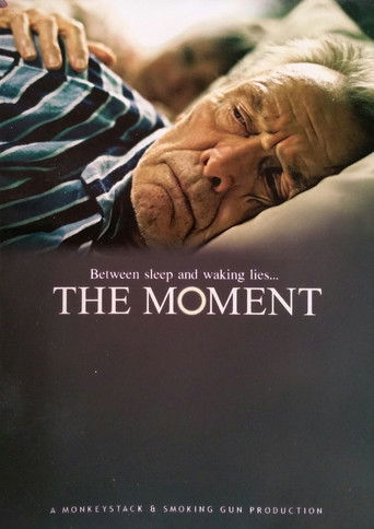 The Moment Poster of The Moment