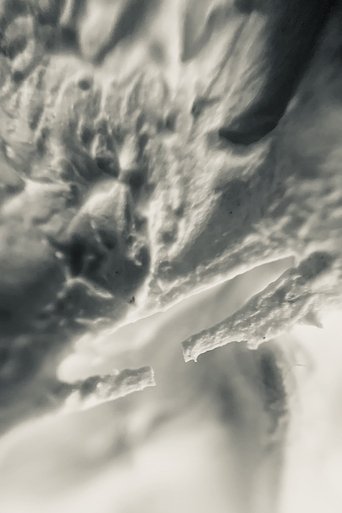 Rough Texture / Pilot Run Poster of Rough Texture / Pilot Run