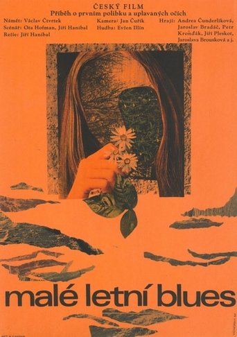 Malé letní blues Poster of Malé letní blues