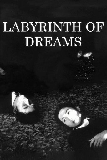 Labyrinth of Dreams Poster of Labyrinth of Dreams