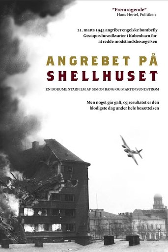 The Shellhouse Raid Poster of The Shellhouse Raid