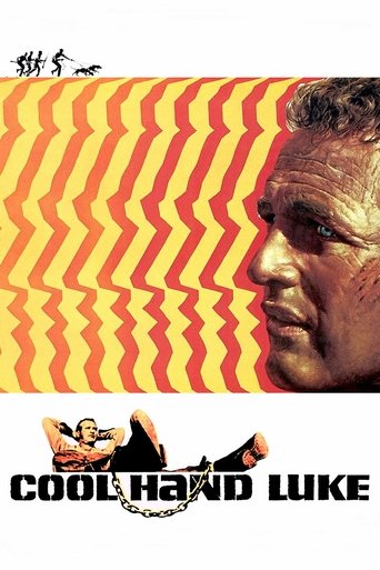 Cool Hand Luke Poster of Cool Hand Luke