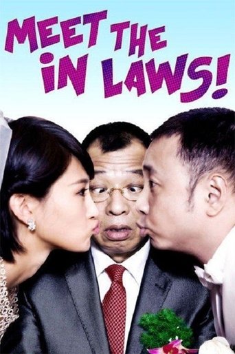 Meet the In Laws Poster of Meet the In Laws