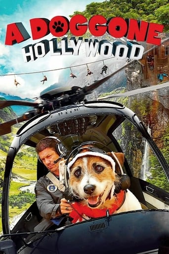 A Doggone Hollywood Poster of A Doggone Hollywood