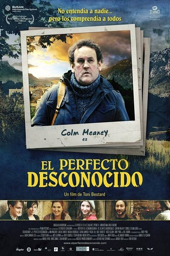 The Perfect Stranger Poster of The Perfect Stranger