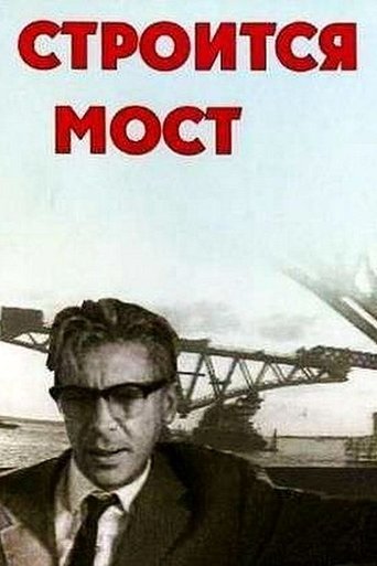 Строится мост Poster of Строится мост