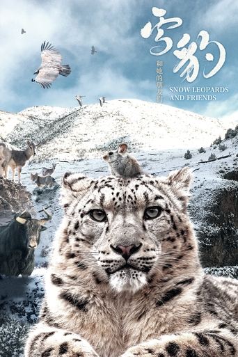 Snow Leopards and Friends Poster of Snow Leopards and Friends