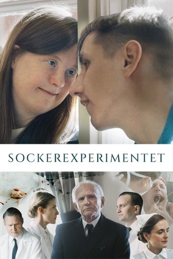 The Sugar Experiment Poster of The Sugar Experiment