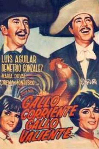 Gallo corriente, gallo valiente Poster of Gallo corriente, gallo valiente