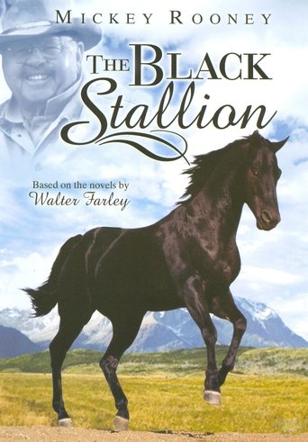 Adventures of the Black Stallion Poster of Adventures of the Black Stallion