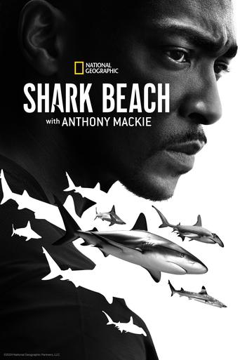 Shark Beach with Anthony Mackie Poster of Shark Beach with Anthony Mackie