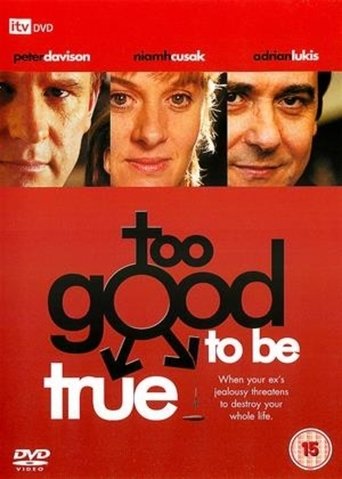Too Good to Be True Poster of Too Good to Be True
