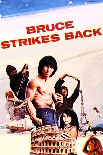 Bruce Strikes Back Poster of Bruce Strikes Back