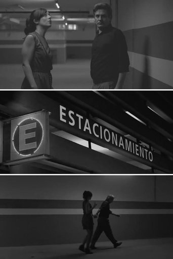 Estacionamiento Poster of Estacionamiento