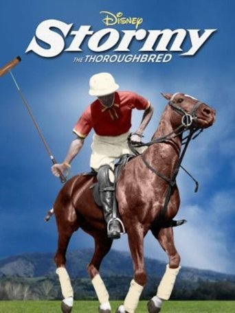 Stormy, the Thoroughbred Poster of Stormy, the Thoroughbred