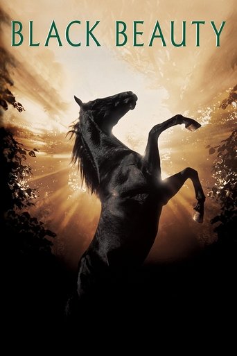 Black Beauty Poster of Black Beauty