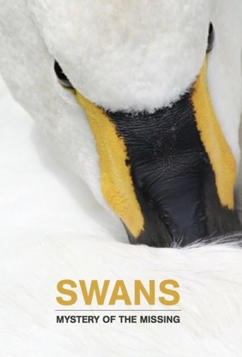 Swans: Mystery of the Missing Poster of Swans: Mystery of the Missing